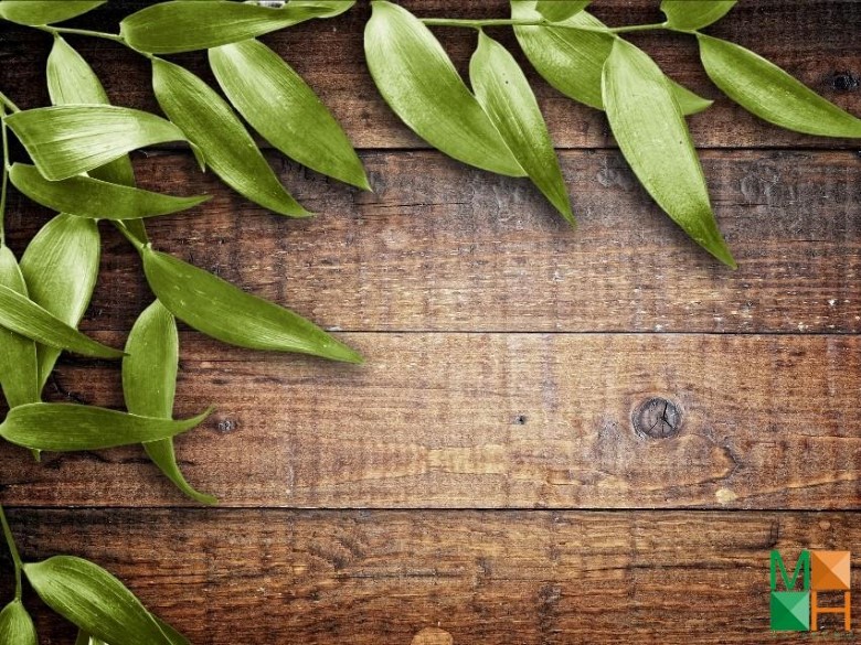 Tranh dán tường Hàn Quốc 3d khổ lớn tại Hà Nội NA - 038